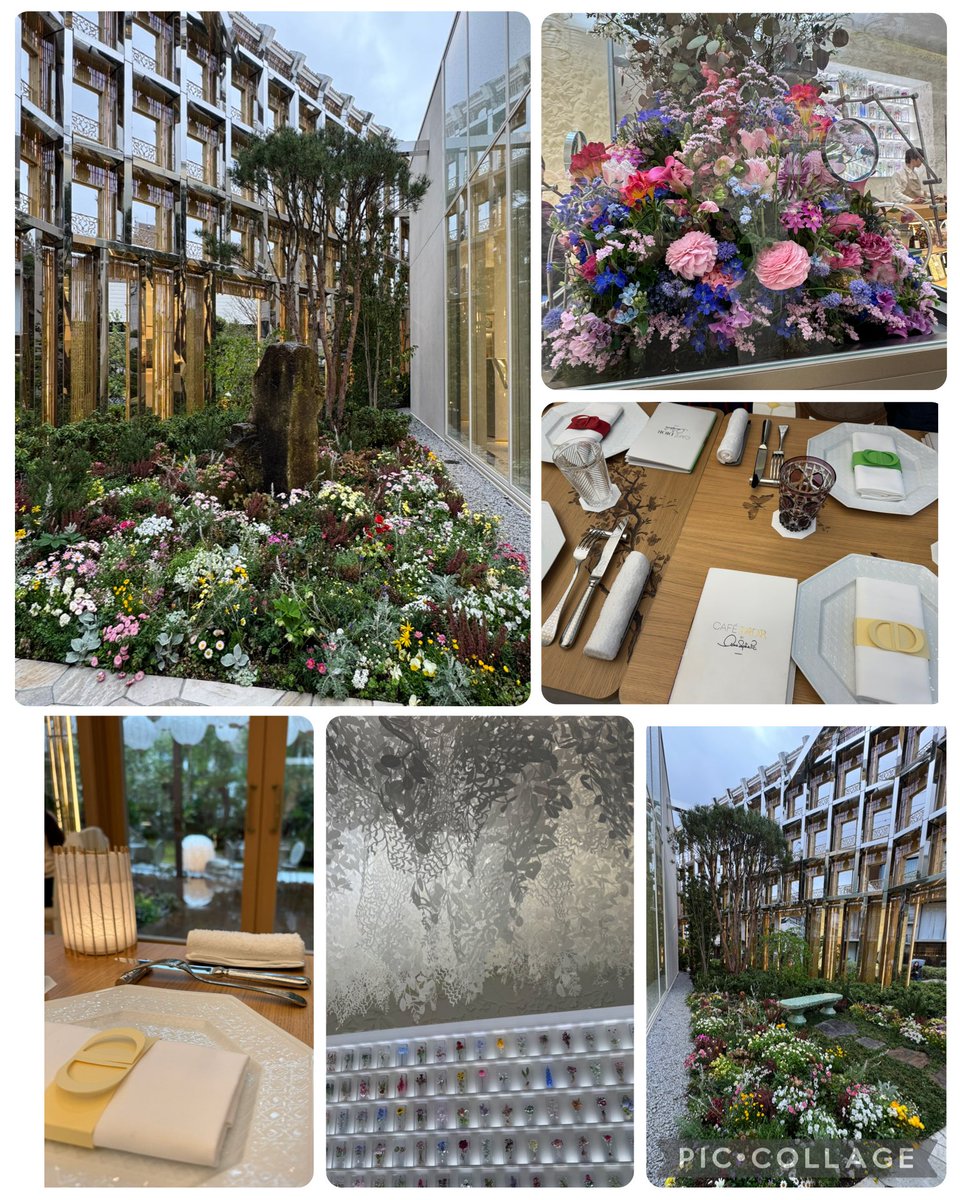 雨だったけど
DIOR cafeへ
お庭が素敵だった✨
ケーキもラテも高かったけど
甘すぎずで美味しかった☺️
　
ケーキは代官山限定🎂
可愛かった🌼
お天気の日にリベンジしたいけど
お財布が辛いw