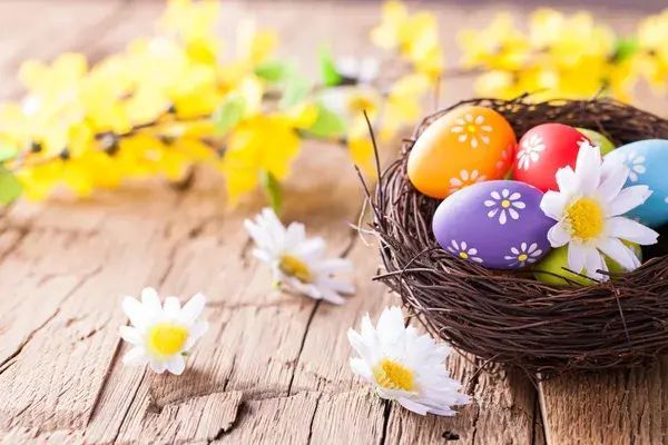AssurancesSliwa's tweet photo. 🐣 Fermé les 3/04 et 6/04.
RDV le 7/04 sur rendez-vous 🗓️
Guichet ouvert dès le 8/04 !
#Pâques #Assurance #Courcelles https://t.co/eyUTEu5E7y
