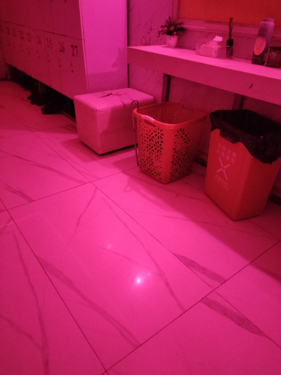 Top only free place X. tweet media