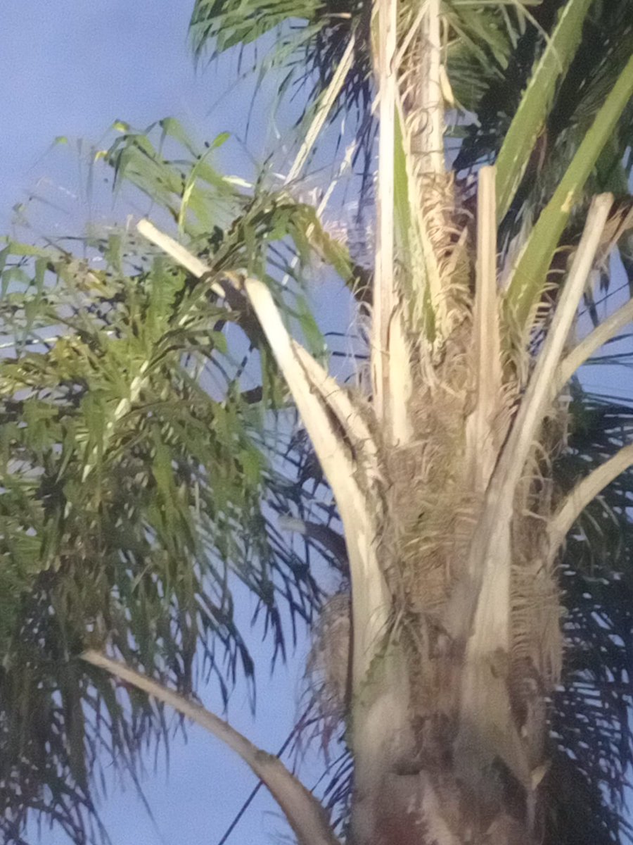 Fidelity Services Group tweet media