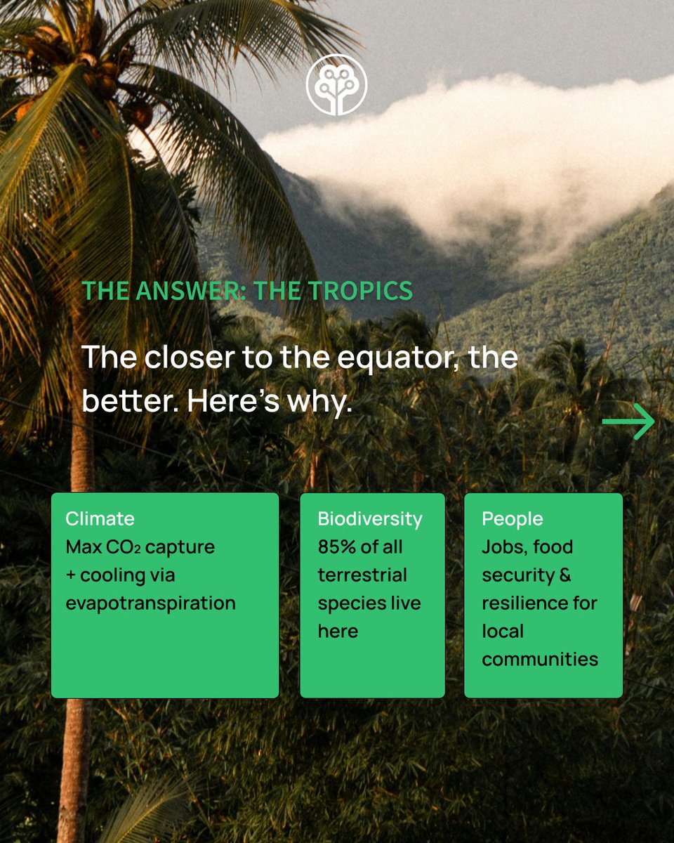 Tree-Nation tweet media