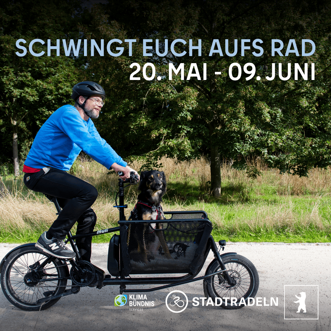 Bezirksamt Mitte tweet media