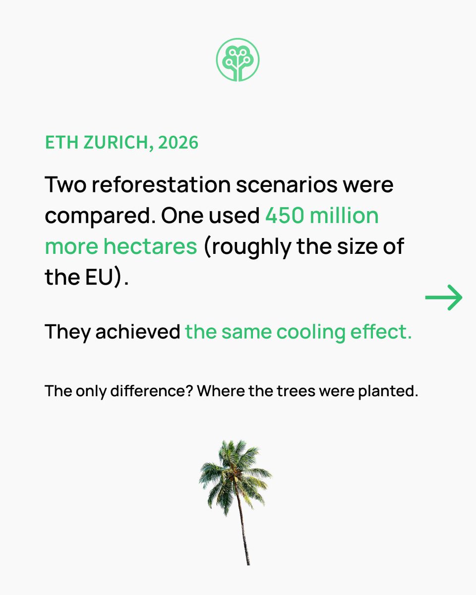 Tree-Nation tweet media