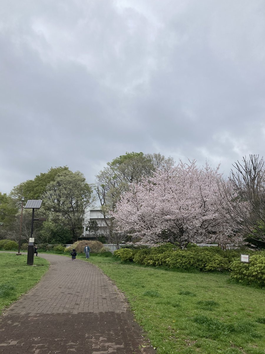 gallery  shell102 tweet media