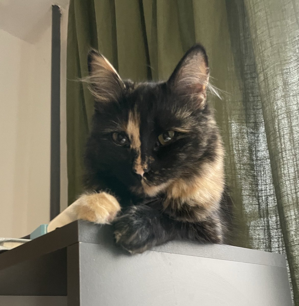 стерпна_легкість 🇺🇦 tweet media