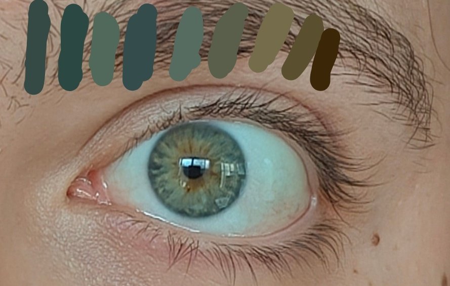 ну очень большой котенок tweet media