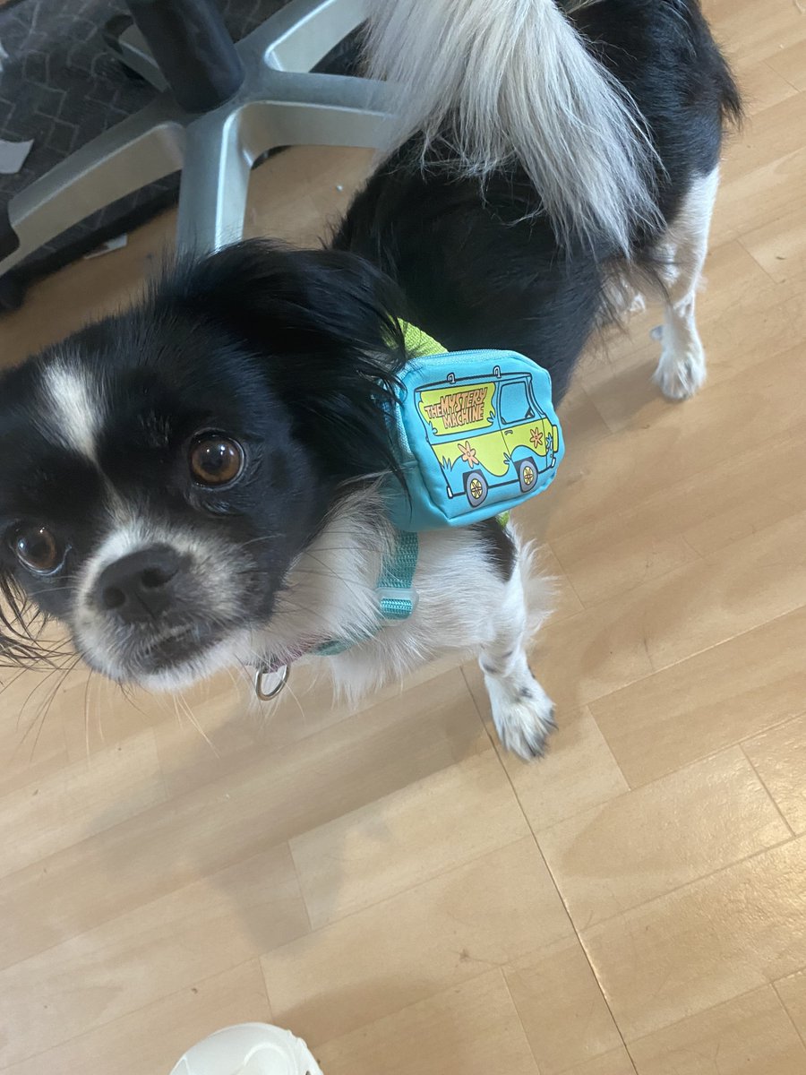 Marla 💎 tweet media