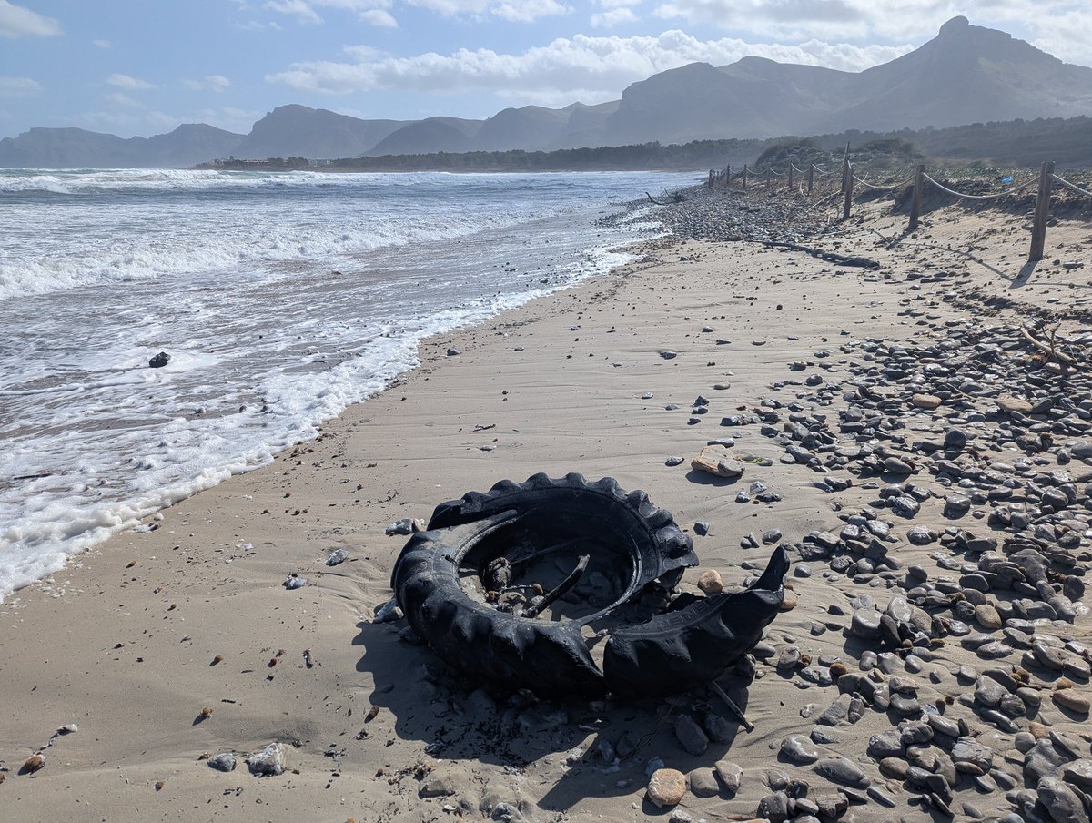 Miquel Àngel tweet media