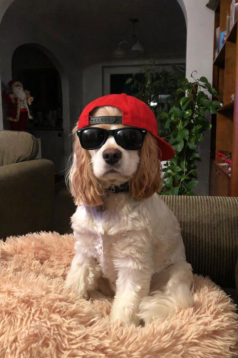 Dennis and Hugran tweet media