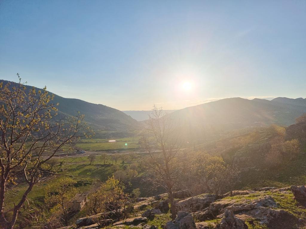 Wladimir van Wilgenburg tweet media