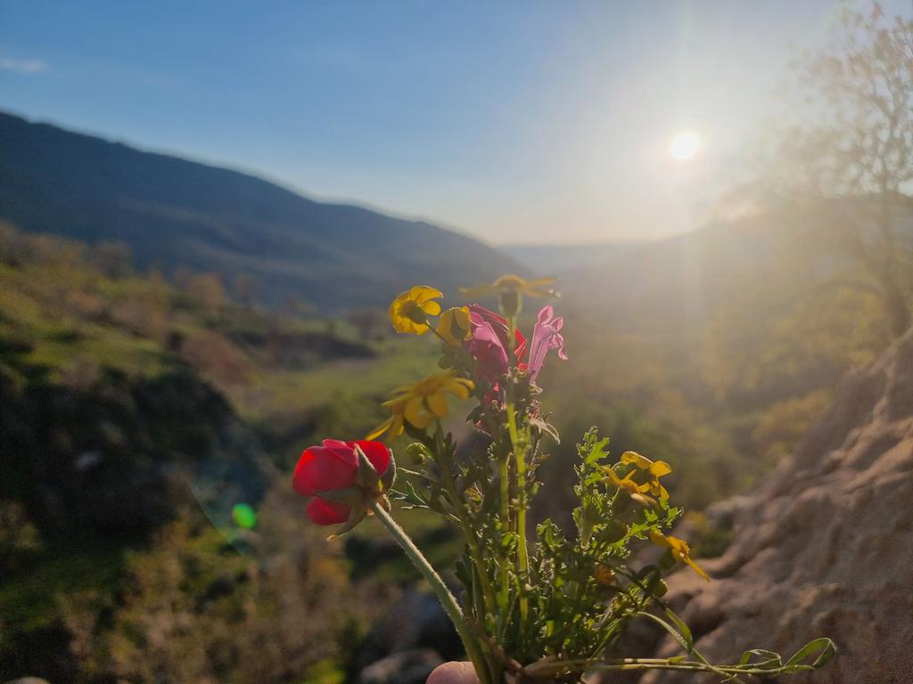 Wladimir van Wilgenburg tweet media