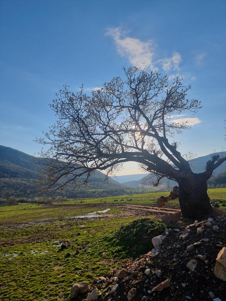 Wladimir van Wilgenburg tweet media