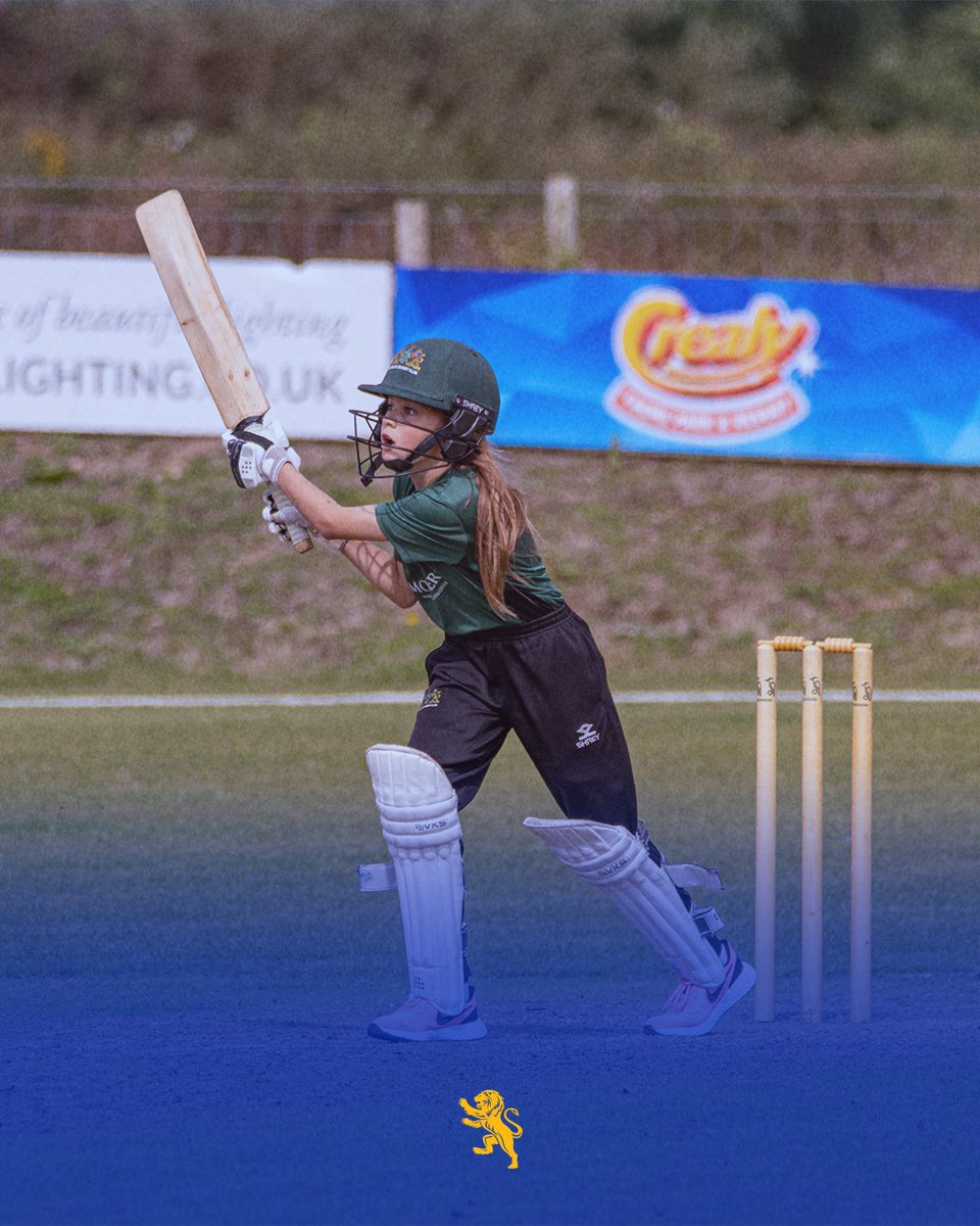 Devon Cricket Foundation tweet media