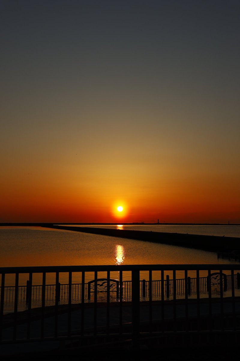 Code_ATx01 tweet media