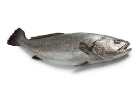 Eric V intage 🎱 📚 🏍 🏴‍☠️ ⚔ tweet media