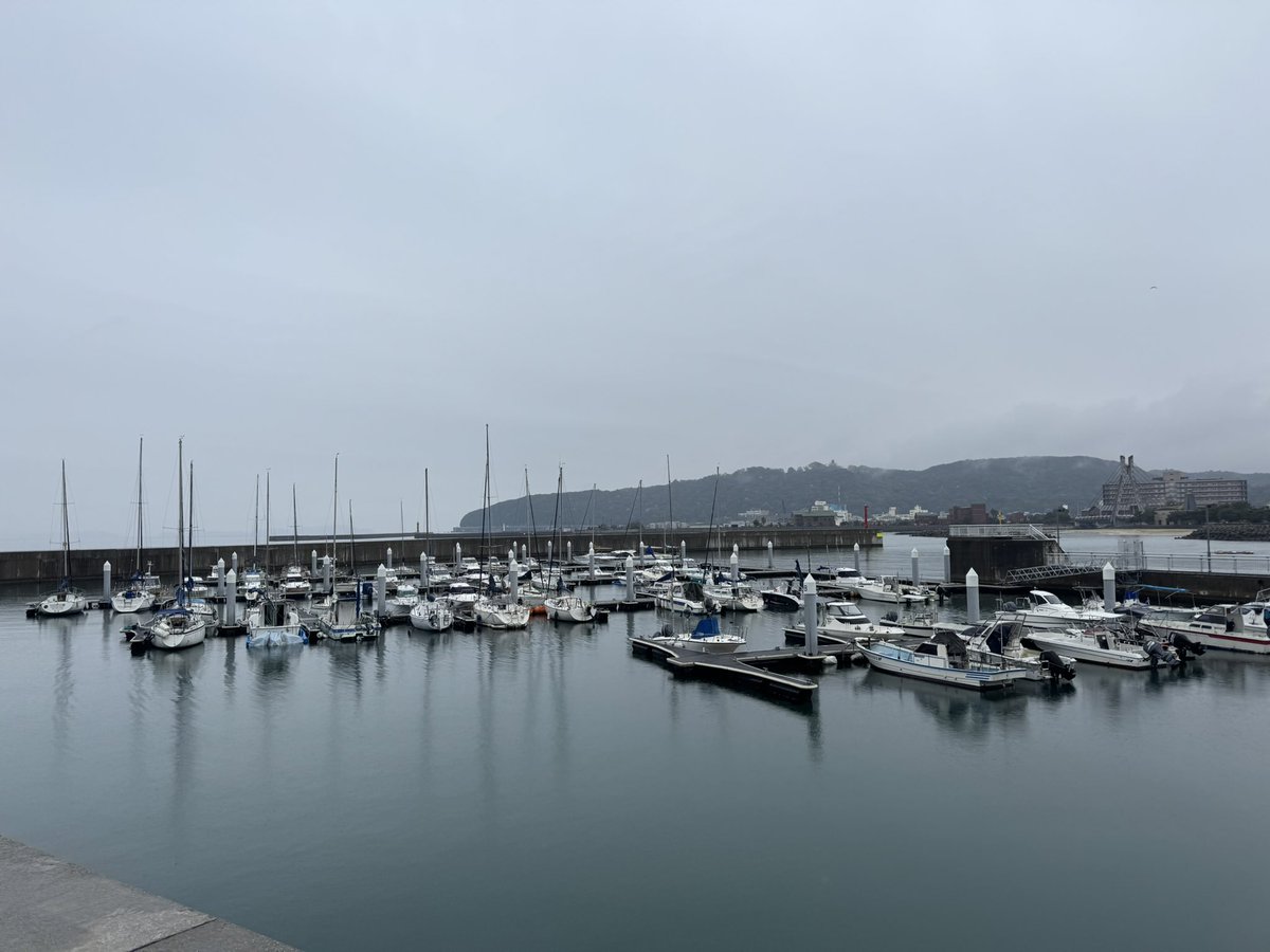 難民こうた tweet media