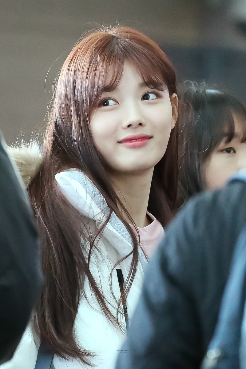 이더리얼 tweet media