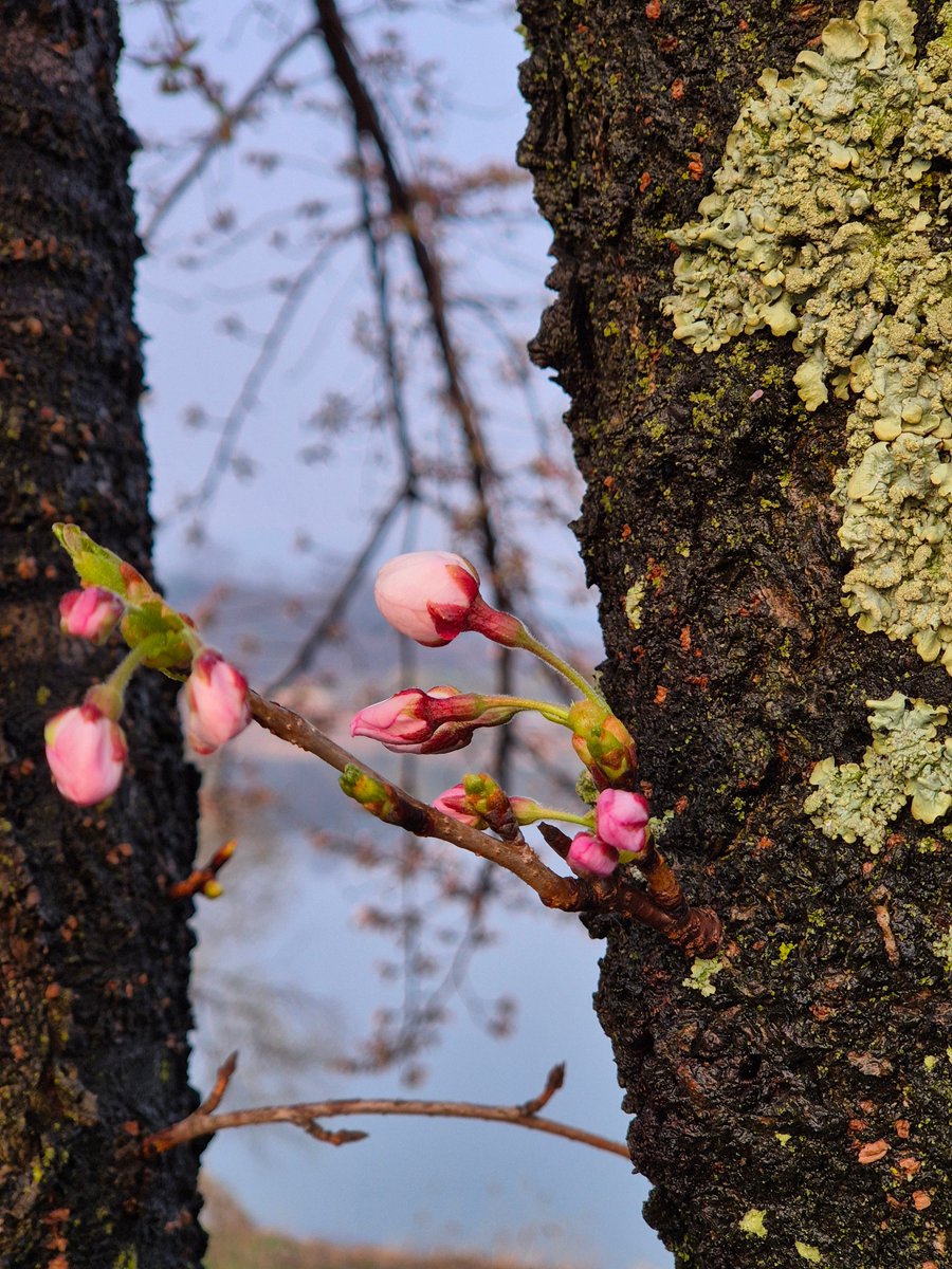 추니추니 입춘이🎗 tweet media