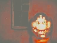 ZandarThunder tweet media