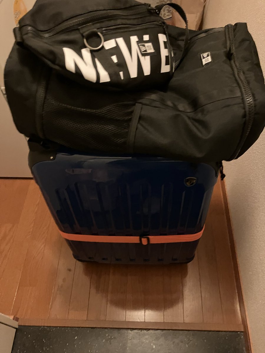 ルヴル tweet media