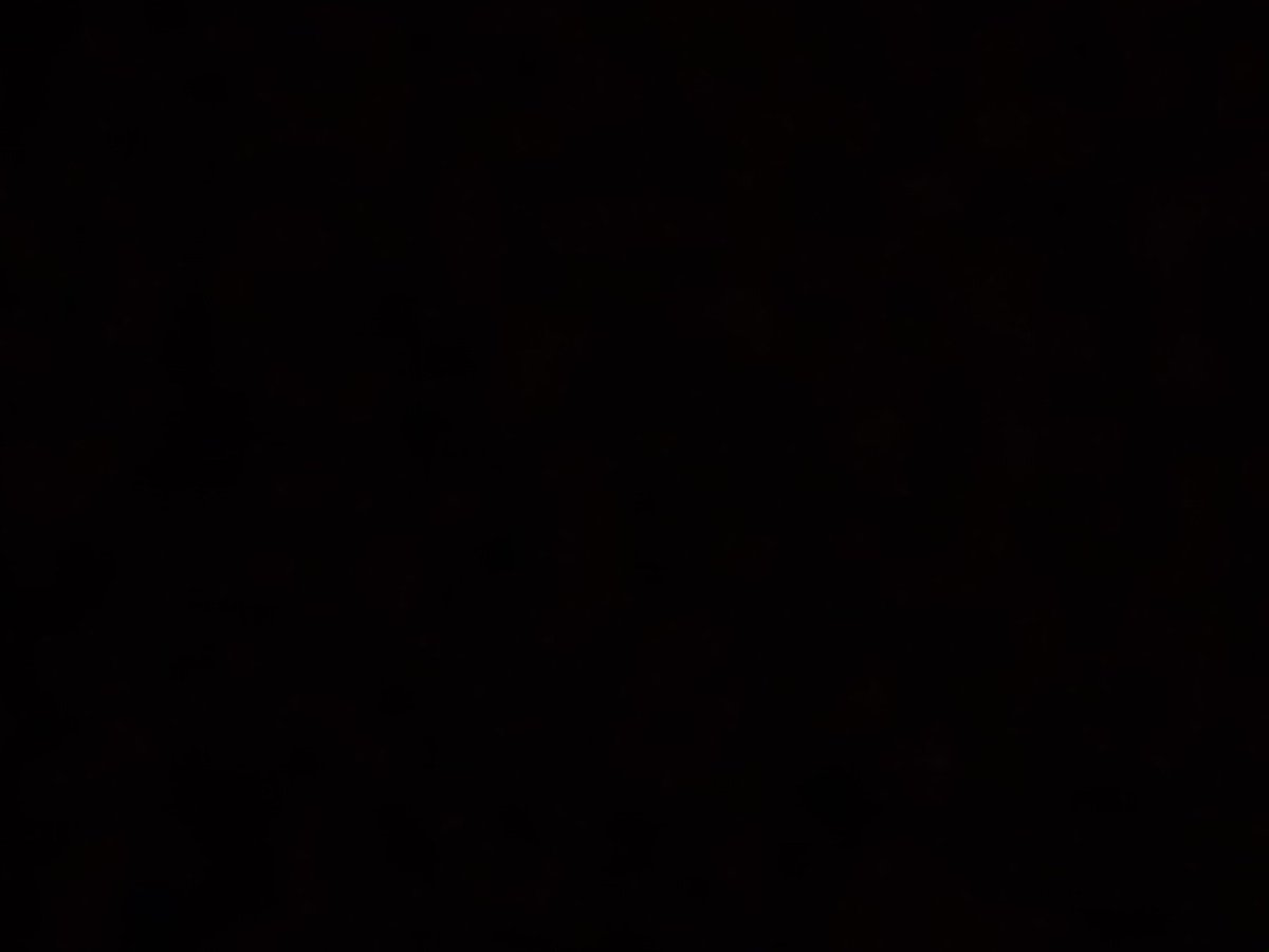 🇨🇩✊🏿🇨🇩 tweet media