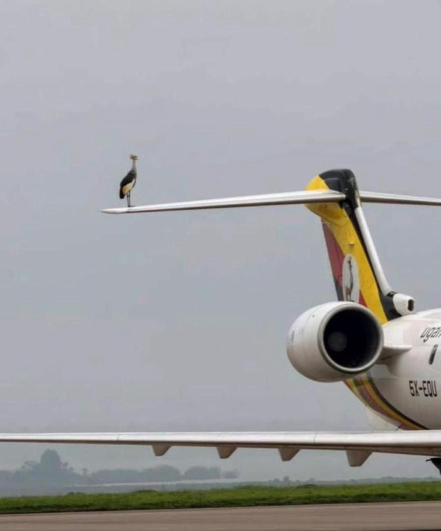 The Mad Man👿 tweet media