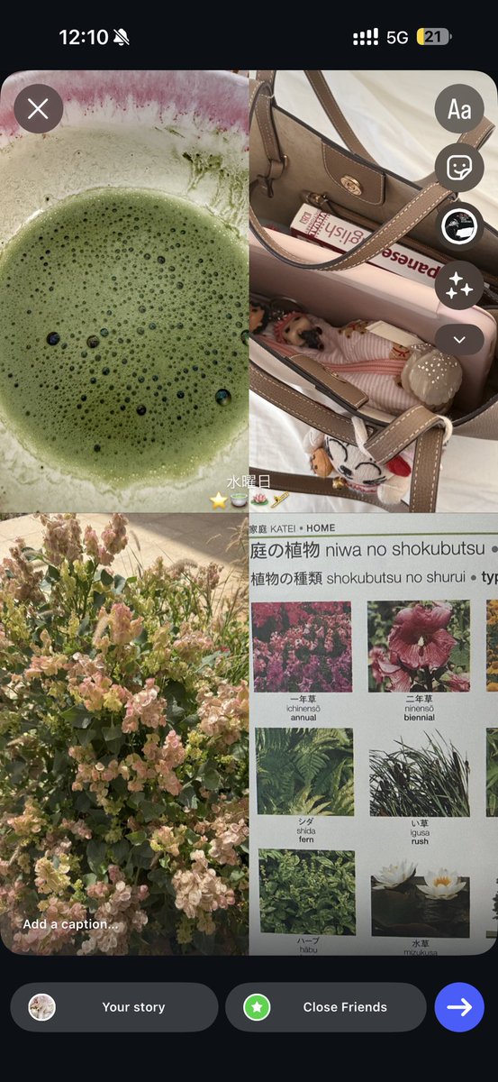 𝒢 ♡ tweet media