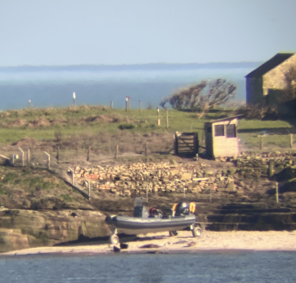 CoastZoneConse1's tweet photo. April Fool? No it’s real! Dave Morris’ Millionaire’s boat can only park on Coquet Island a few metres away from UK’s sole Roseate Tern nesting habitat. Time to admit the folly and stop putting ego before safeguarding the sanctuary. #ne #roseatetern #coquetisland @jfdiecologist https://t.co/8sG9YckWCE