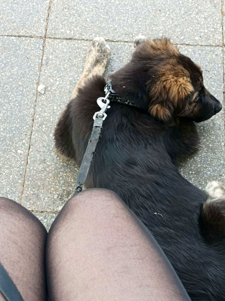 Heidi🍐 tweet media