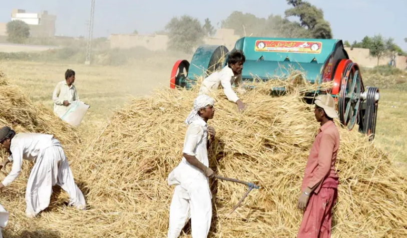 Procurement only from registered genuine farmers  
Zero tolerance for corruption: Officers suspended, dismissed &amp; cases sent to ACE. Farmers to bring their own bags (Rs60 compensation in bank account)  No substandard wheat allowed Good move to protect small farmers! #SindhAgricul