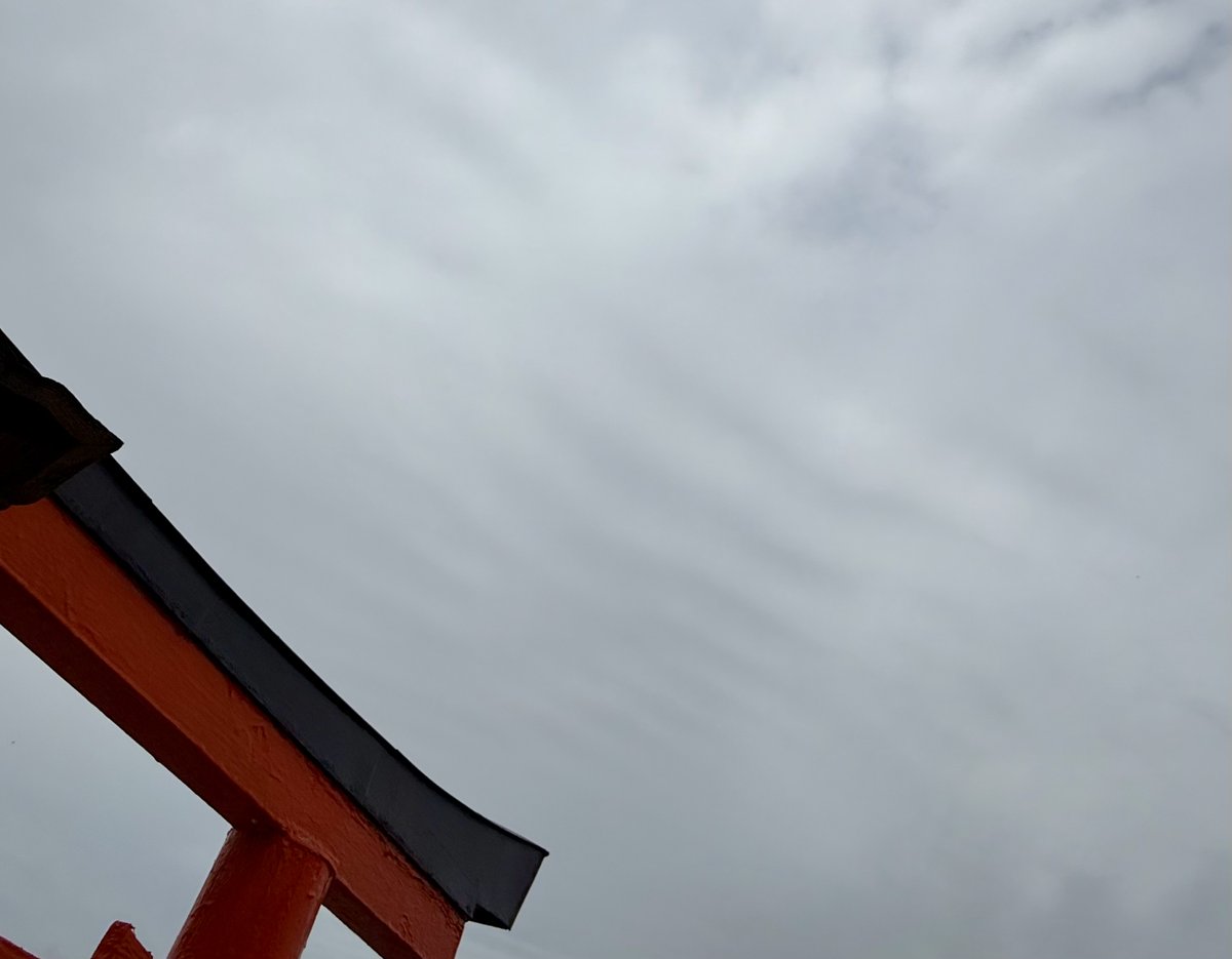 パッケージ・包装資材の株式会社タマヤ【公式】 tweet media