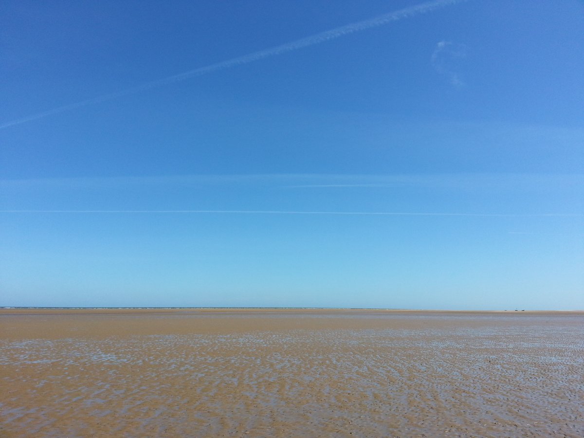 manonabeach tweet media