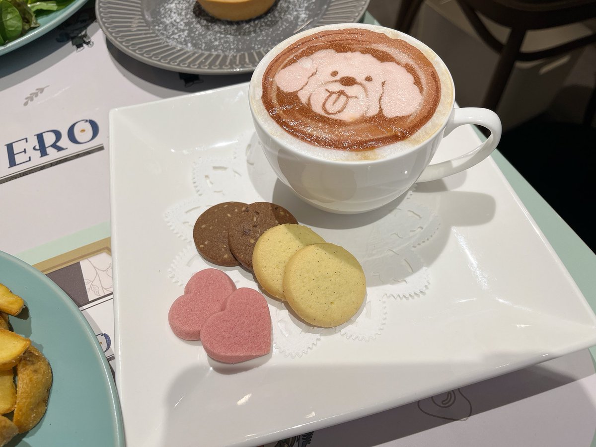 ココ@ぬいと生活 tweet media