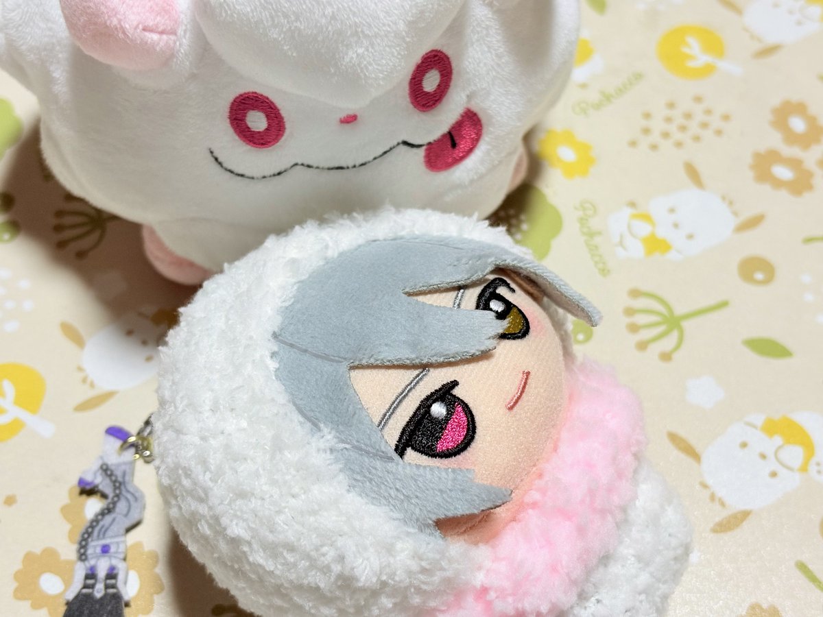 くらげ tweet media