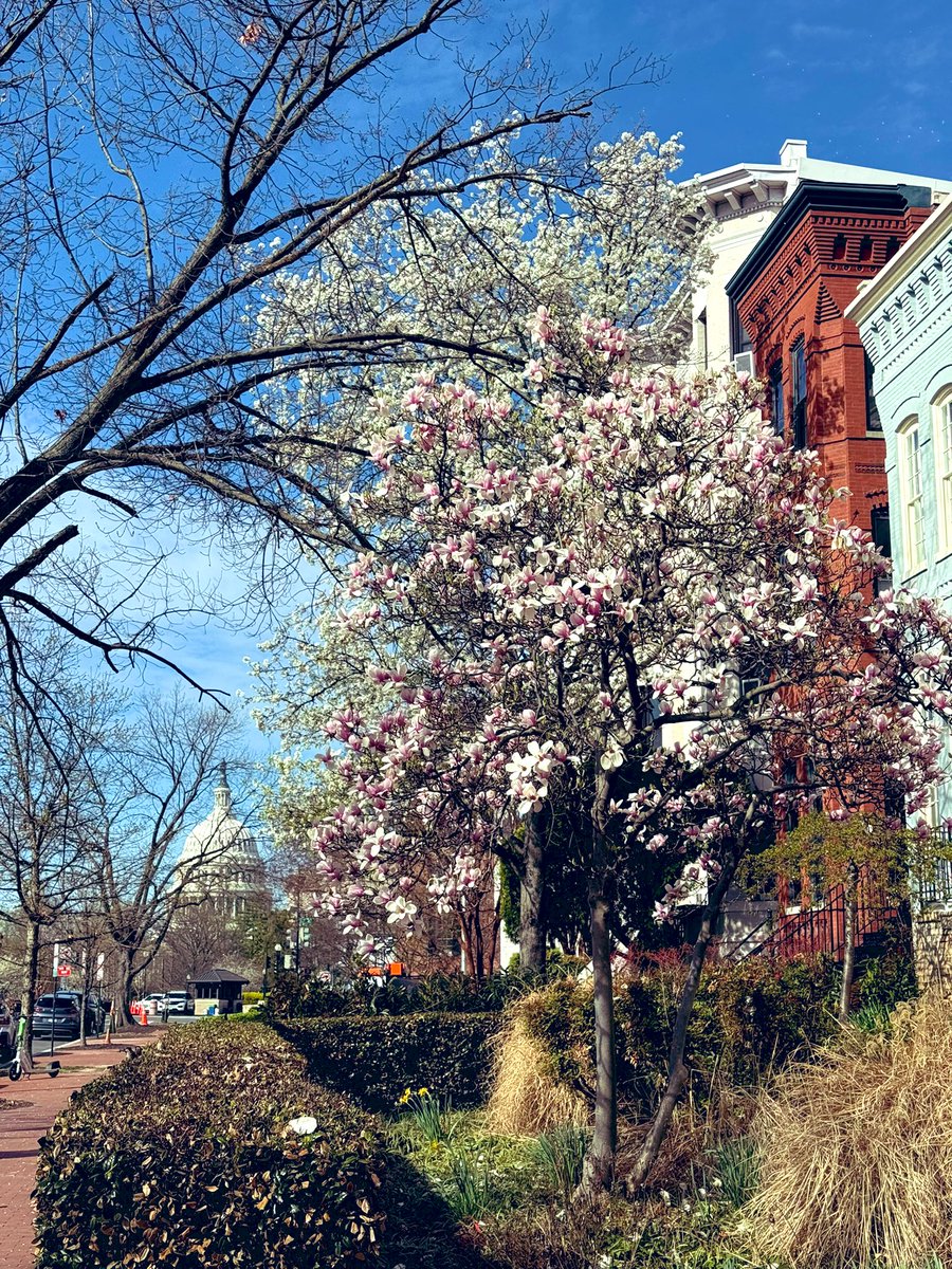 Sweet Sav tweet media