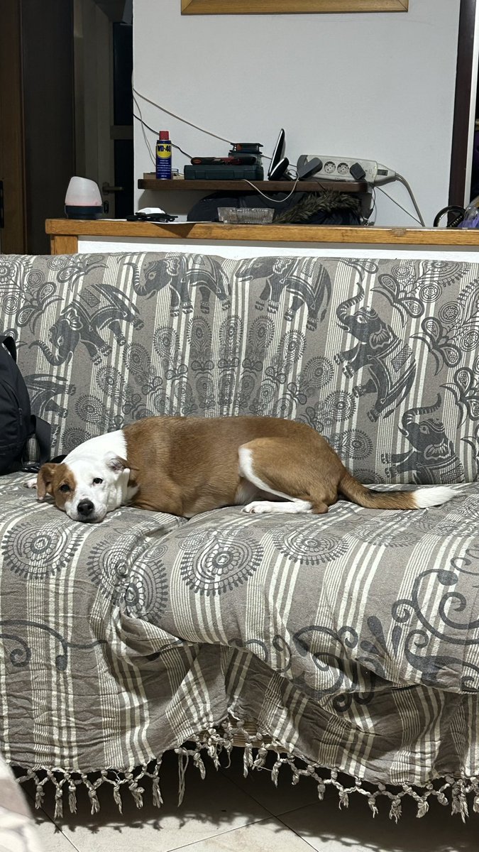 gaia🍸 tweet media