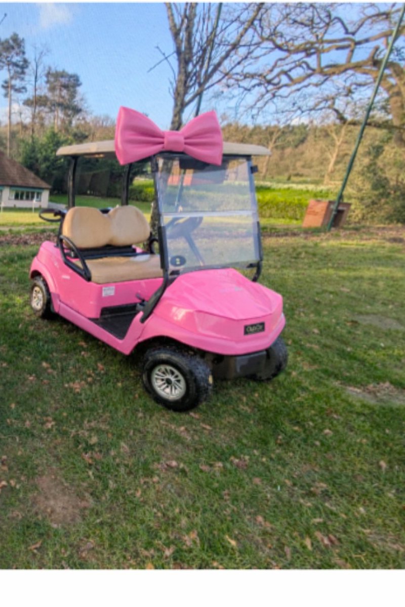 LickeyHillsGolf's tweet image. We are that excited at getting buggies back on we've even given them a spruce up for the new season .
What do you think ? 
😁
#whatstheday 
#golf 
#golfer