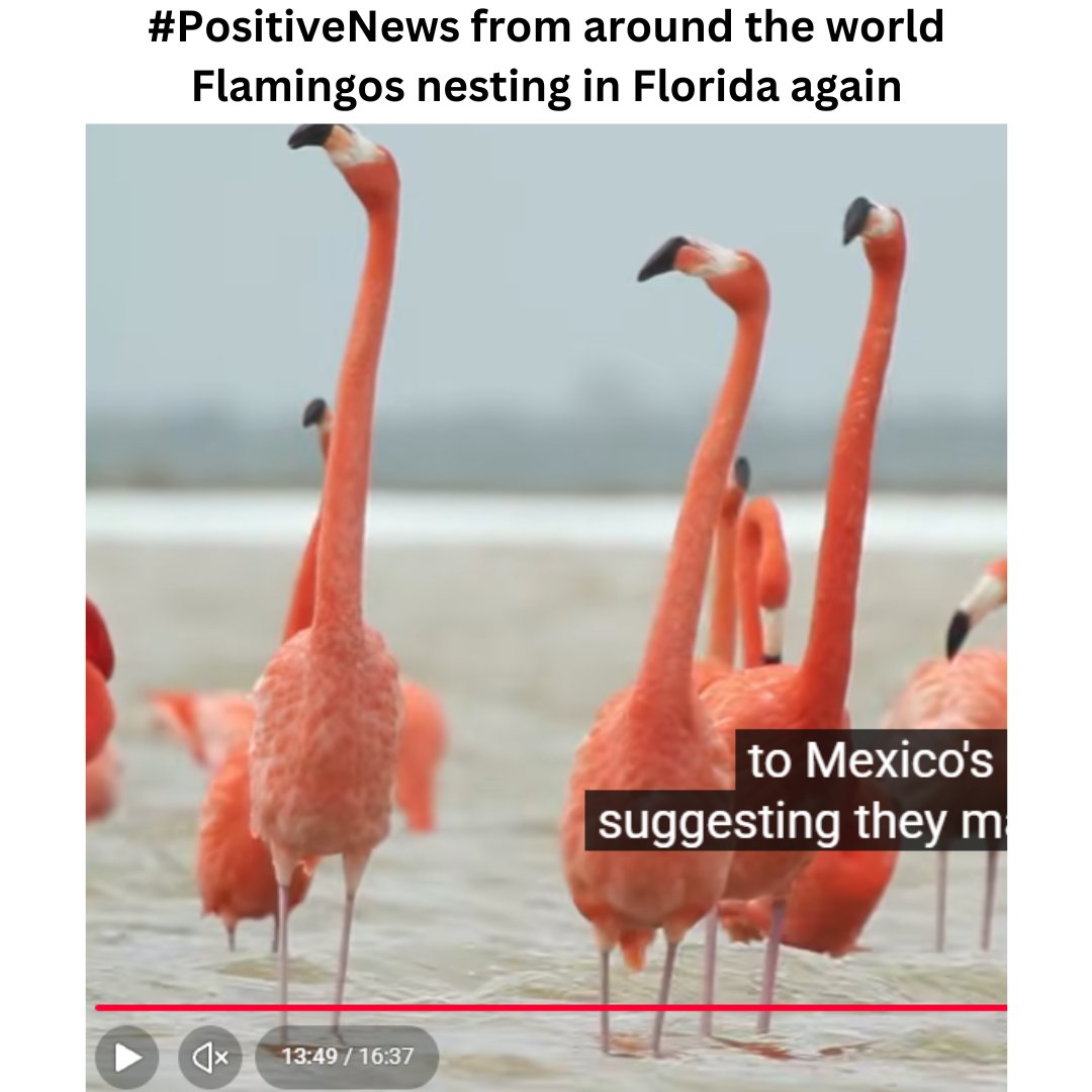 Meditational State tweet media