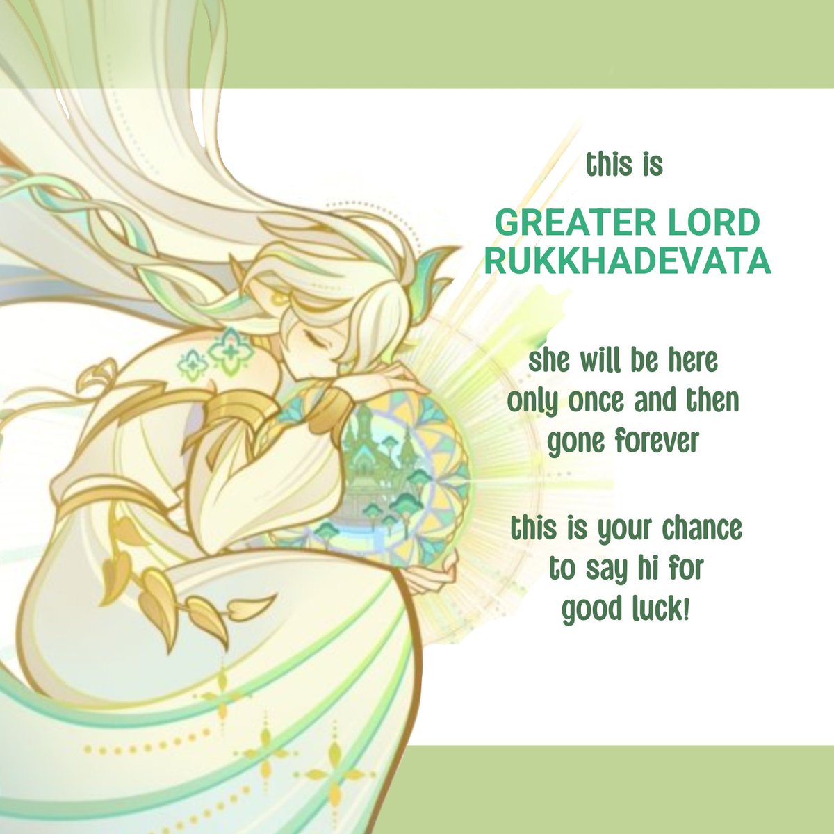 Nahida🌿 tweet media