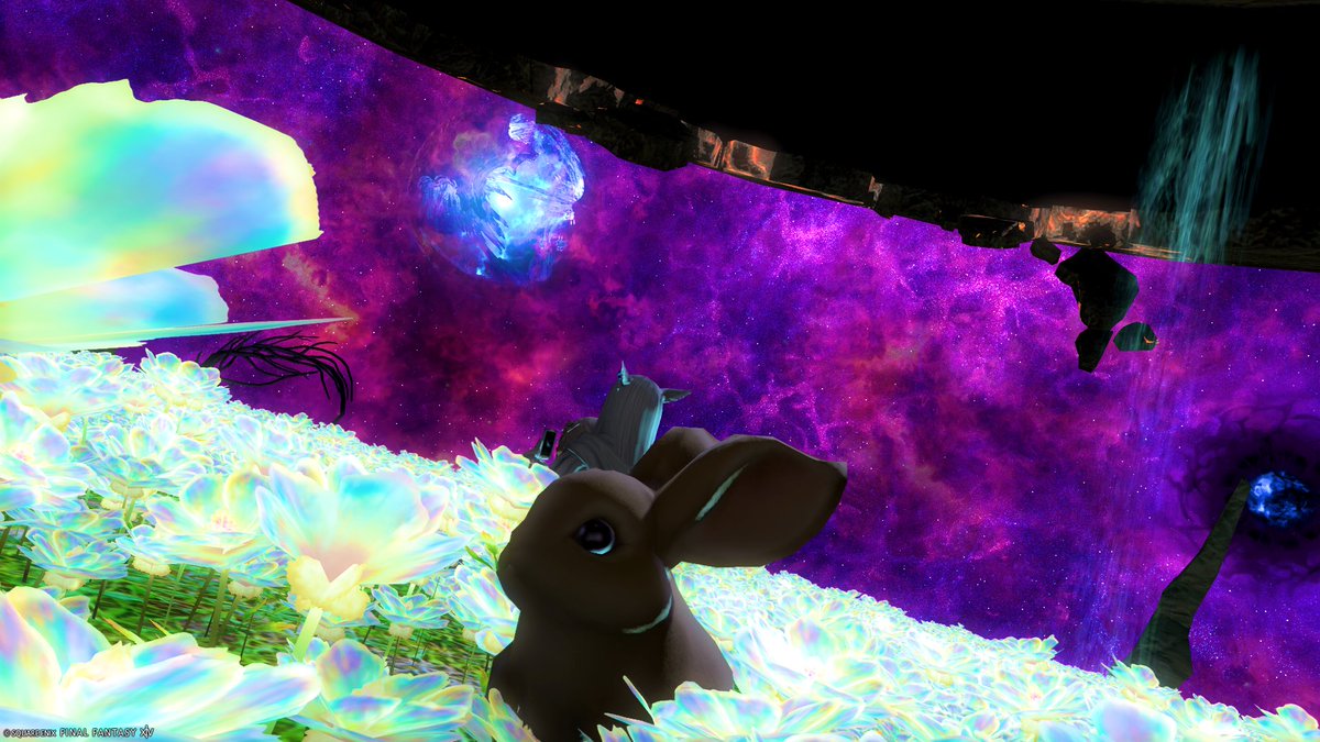 まゆぞう tweet media