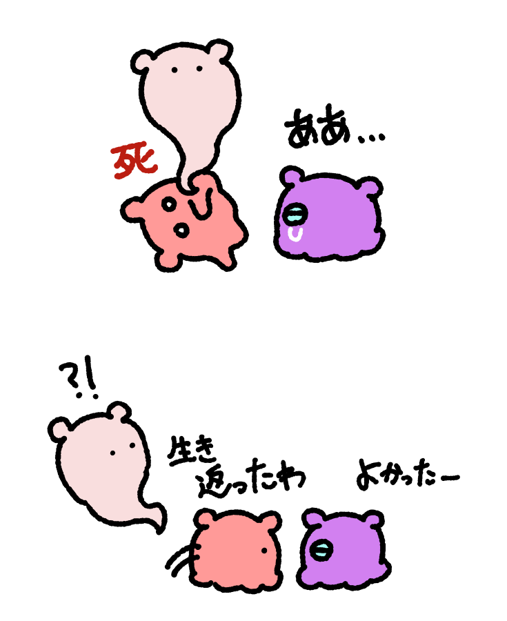 まいにちめんだこ tweet media