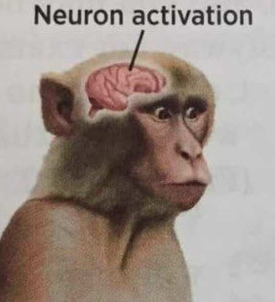 Tríbada tweet media