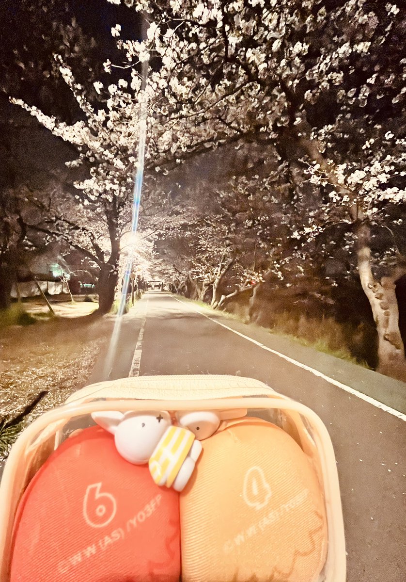 lemoncake_an's tweet photo. 草汰さんとあおかぶちゃんとめーぢむらに行ってきんかむのえーがを観て(めーぢむらでリアルあばしり監獄の一部を見てから映画でもあばしり監獄を観たので最高だった✨️)真夜中にお花見してめっちゃりんこ楽しかった❣️💛🧡 https://t.co/hQZGlxEIei