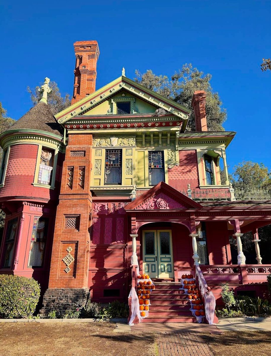 Mostafa Matar tweet media