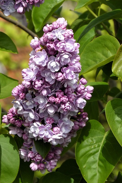 Angel Brooks tweet media