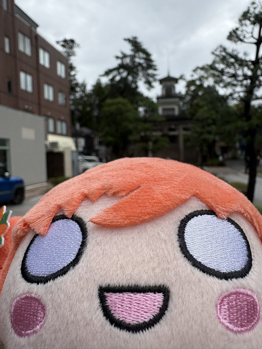 きんすば🍊⛵️ tweet media