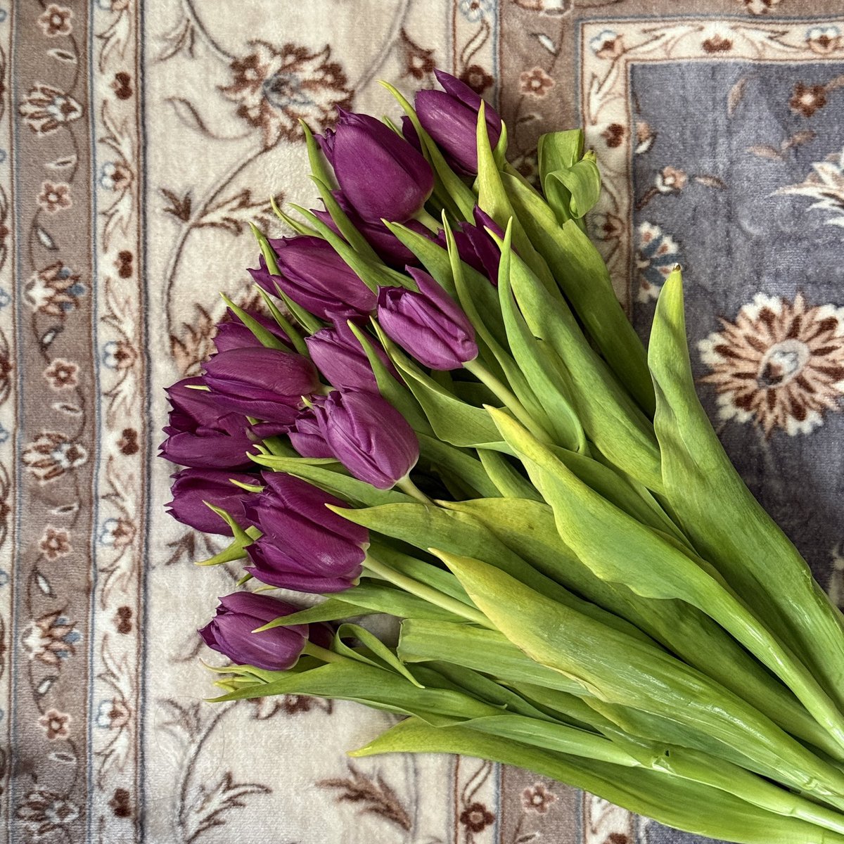 إيمَان tweet media