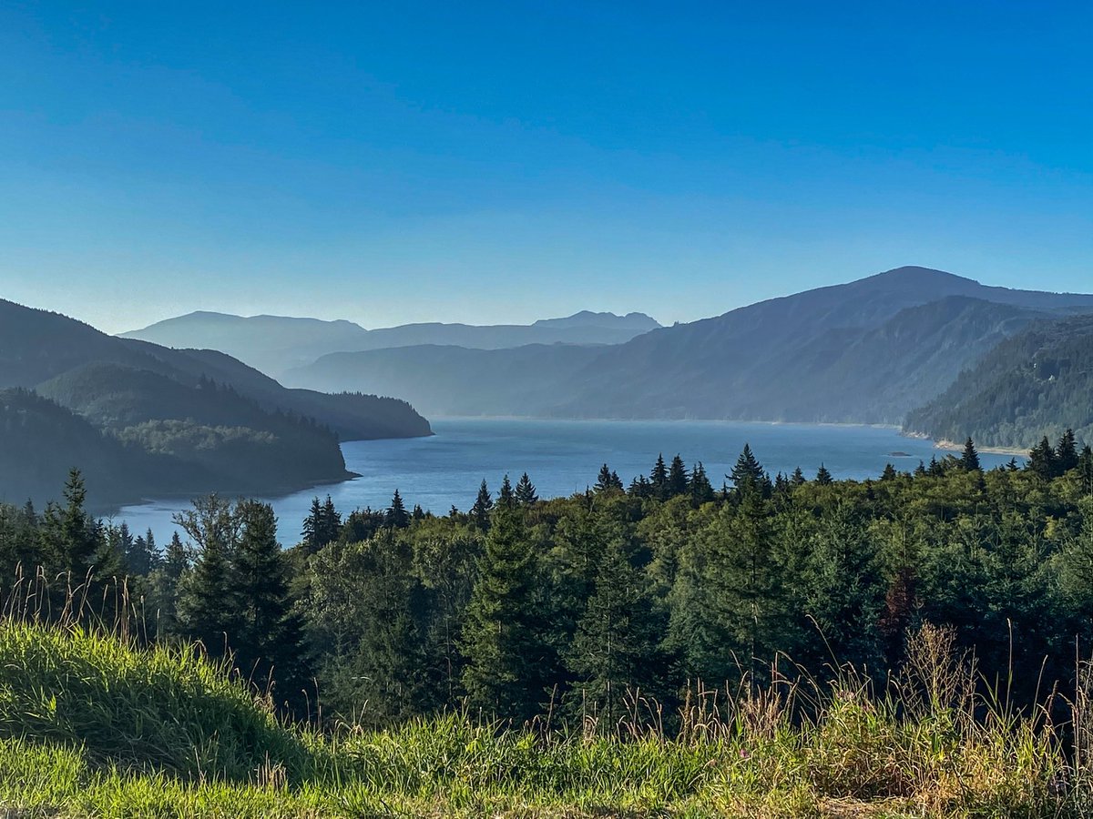 Senex Maximus tweet media