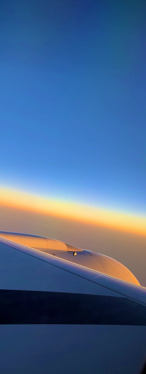 べえくど【通販🐯開始】 tweet media