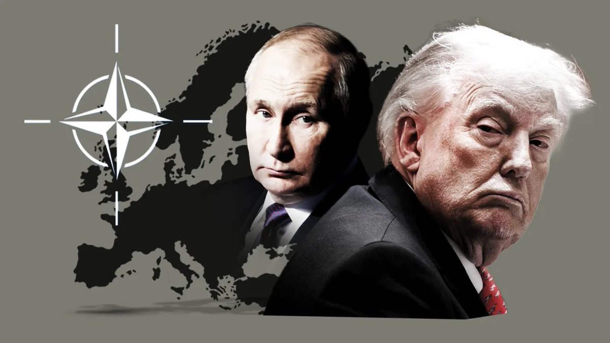 The Ukrainian Review tweet media